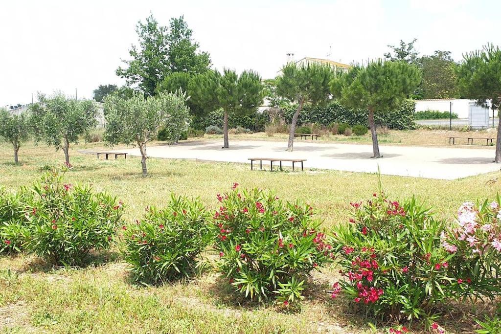 Un Bol D'Air Frais Et De Soleil Entre Campagne Et Plage Villa Béziers Buitenkant foto